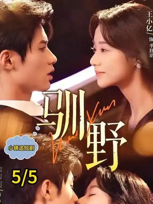 日本时代日剧《昭和商战录》海报